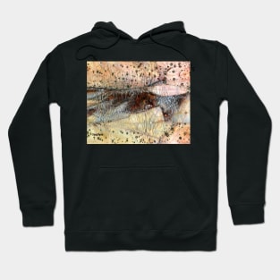 Sedimentary Rock Hoodie